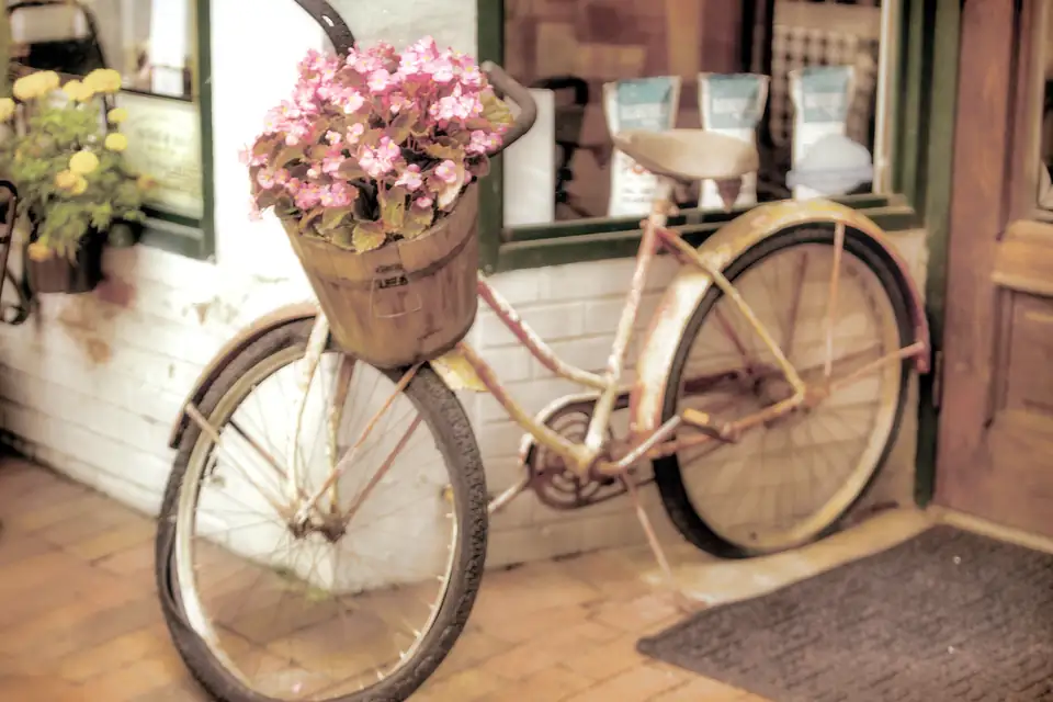 A vintage bicycle with a flower-filled basket leaning against a whitewashed shop front.